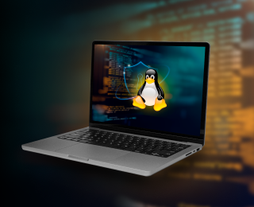 Defend, Detect, Dominate: Your Linux-Based Unified Security