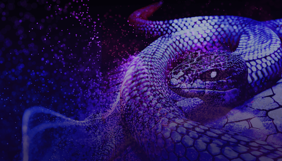 Silent Invasion: Unraveling the Stealth and Danger of SSH-Snake Attack