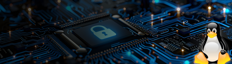 Defend, Detect, Dominate: Your Linux-Based Unified Security